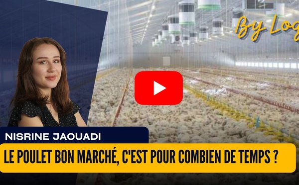 [vidéo] : Le poulet bon marché, c'est pour combien de temps ?