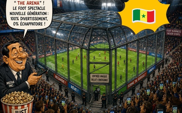 Sénégal : le premier stade anti-envahissement ?