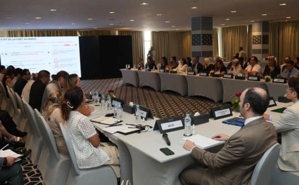 Forêts du Maroc 2020-2030 : l’ANEF fait le point sur l’avancement de sa stratégie