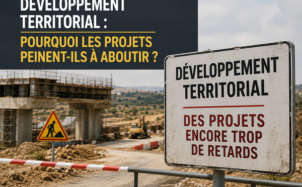 Développement territorial : pourquoi les projets peinent-ils à aboutir ?