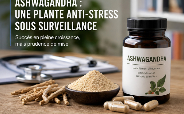 Ashwagandha : le succès d'une plante anti-stress face aux exigences de la science