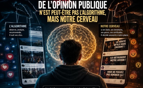 Le plus grand manipulateur de l’opinion publique n’est peut-être pas l’algorithme, mais notre cerveau