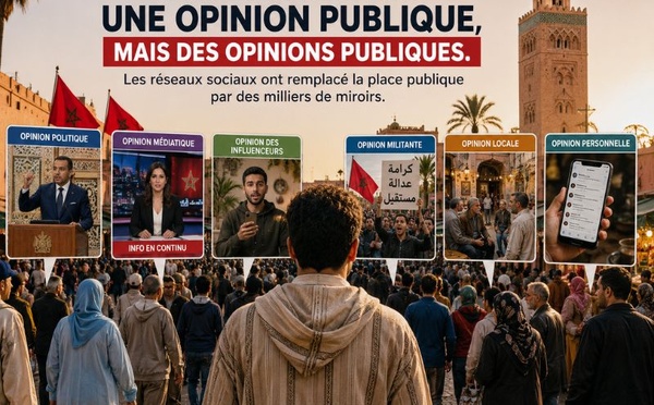 ​Il n’existe plus une opinion publique, mais des opinions publiques