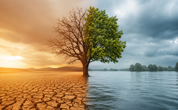 Climat : le retour d'El Niño fait craindre une nouvelle crise alimentaire