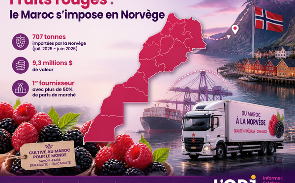 Fruits rouges : le Maroc s’impose en Norvège
