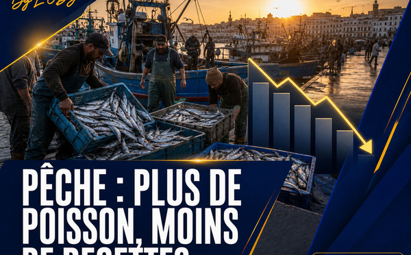 Pêche méditerranéenne : davantage de poisson débarqué, mais moins de valeur