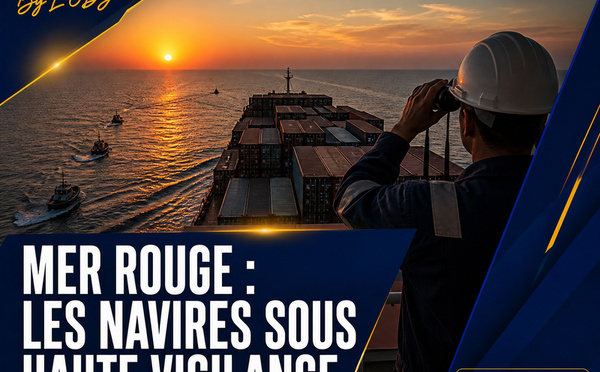 Mer Rouge : l'OMI appelle les armateurs à renforcer l'évaluation des risques