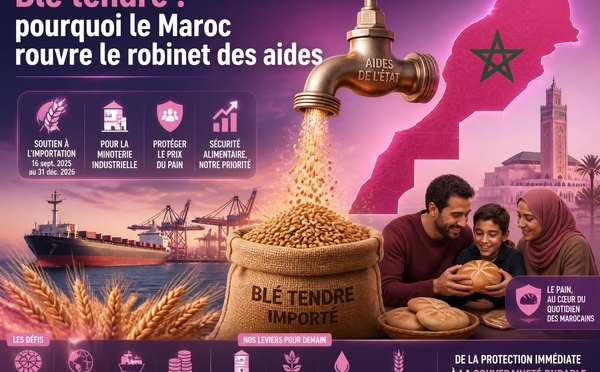Blé tendre : pourquoi le Maroc rouvre le robinet des aides