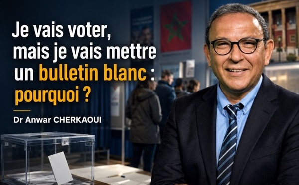 Je vais voter, mais je vais mettre un bulletin blanc : pourquoi ?