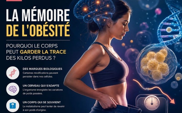La mémoire de l’obésité : pourquoi le corps peut garder la trace des kilos perdus