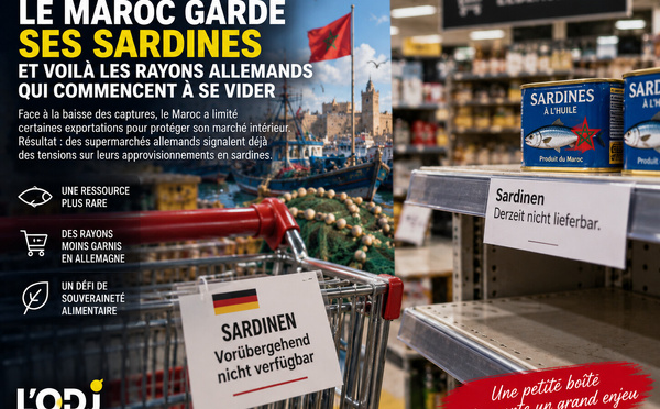Le Maroc garde ses sardines : et voilà les rayons allemands qui commencent à se vider