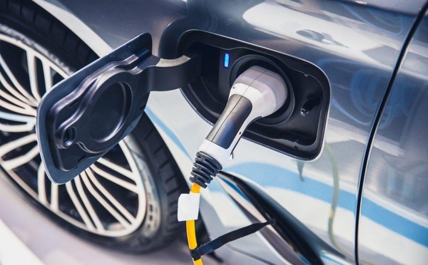 Voitures électrifiées : leur part atteint 17,4 % du marché marocain
