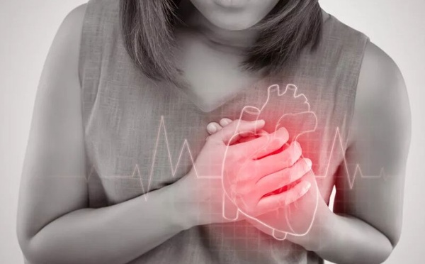 Maladies cardiovasculaires : 5 habitudes de vie pour protéger votre cœur