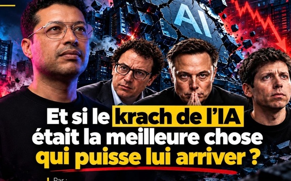 Et si le krach de l’IA était la meilleure chose qui puisse lui arriver ?