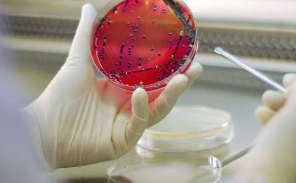 Antibiorésistance : pourquoi les plans des pays ne suffisent toujours pas