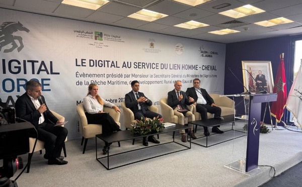 Salon du Cheval d’El Jadida 2026 : le digital au service du lien homme-cheval