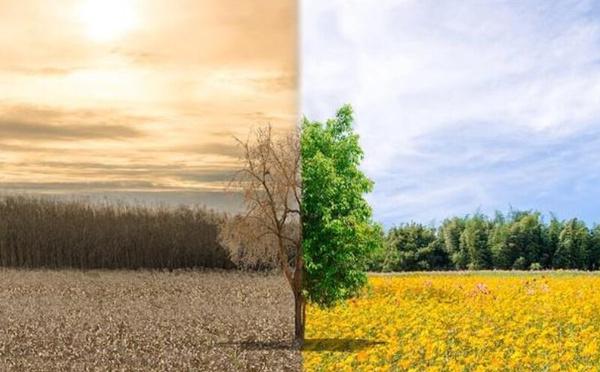 Changement climatique : la chaleur tue davantage, l'alerte sanitaire s'intensifie