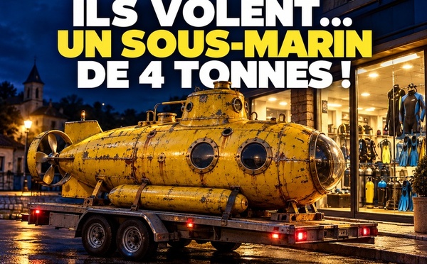 Un sous-marin volé  a été mis en vente sur Leboncoin pour 100 €