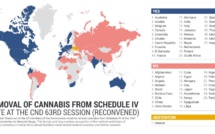 Maroc pour le retrait du cannabis de la liste des drogues dangereuses
