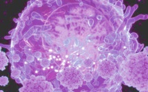 Covid-19 et Maghreb : Un avenir plus collaboratif ?