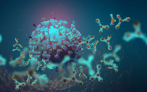 Covid-19 : La variante sud-africaine préoccupe