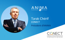 Tarak Chérif, nouveau Président d'ANIMA Investment Network