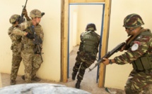 Le « Lion africain » dans les provinces du Sud