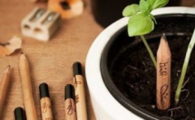 'Sprout' : le crayon qui germe quand on le plante