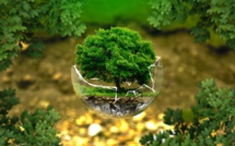 En live : Suivez la "Journée internationale de la terre" 2021 