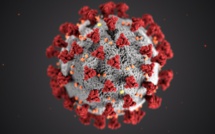 Les vaccins efficaces contre «tous les variants du virus», selon l'OMS