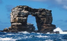 L'arche de Darwin des Galápagos s'est écroulée : Léonardo Dicaprio réagit ! 