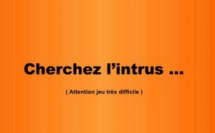 Jeu :  Trouvez l'intrus dans ces images ! 