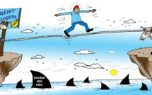 Mon « cher » mouton…!!!