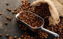 5 infos que vous ignorez sur le café !