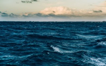 Lancement de Bird, l'agence de narration de Africa No Filter