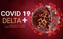 Delta Plus : le variant du variant !