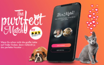 Un refuge allemand lance une plateforme d'adoption pour chats et chiens 