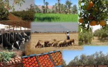 Les pires échecs du ministre de l'Agriculture :  Marocains , vous méritez mieux !
