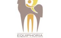 Les thérapies par le cheval démontrent une efficacité au niveau des sphères cognitives