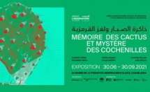 "Mémoire des Cactus et Mystère des Cochenilles"