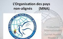 Alger tente un hold-up à la réunion des Non-alignés