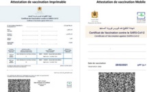 L’impass sanitaire