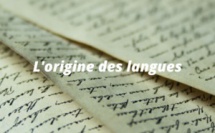 Webinaire : l'origine des langues