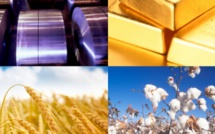 Notre Grand Bond en avant