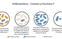 La résistance aux antibiotiques tue de plus en plus