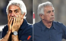 Sondage : Vahid divise les internautes