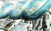 Chine : des chercheurs créent un ventre artificiel pour "fabriquer" des bébés