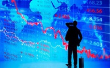 Quand les éléphants se battent, ce sont les fourmis qui meurent …