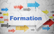 L'heureuse nécessité de se former tout au long de la vie