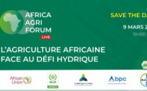 Webinaire : l'agriculture africaine face au défi hydrique
